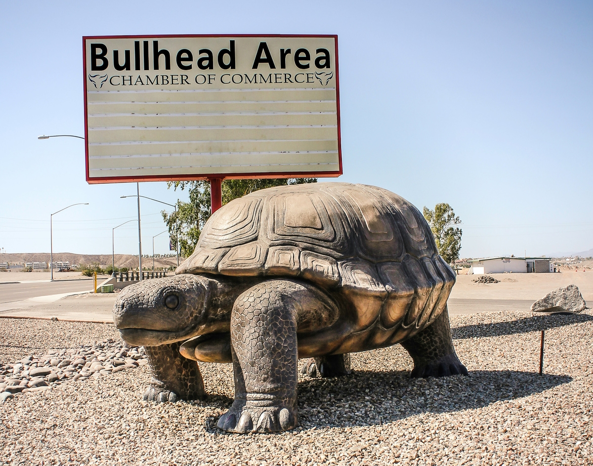 Bullhead City, AZ market