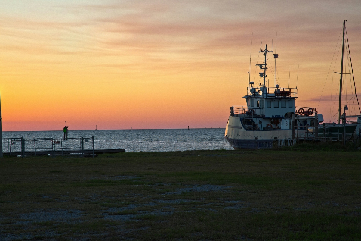 Dauphin Island, AL market