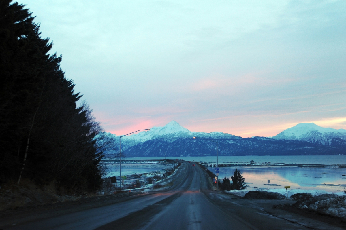 Homer, AK market