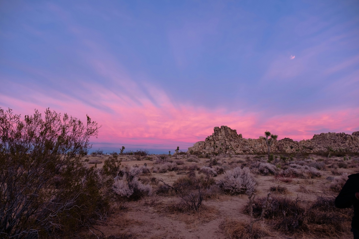 Joshua Tree, CA market