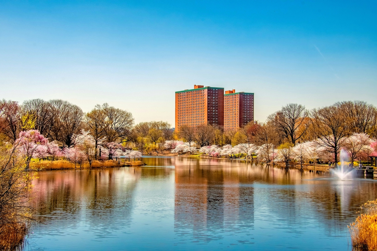 Newark, NJ market
