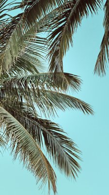 Palm Coast, FL market