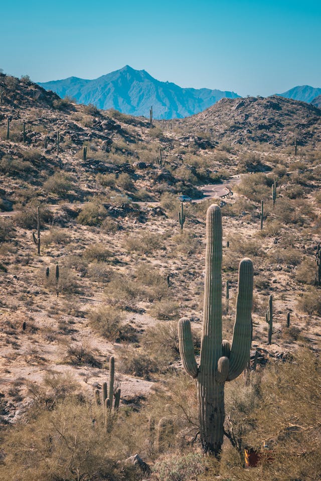 Phoenix, AZ market