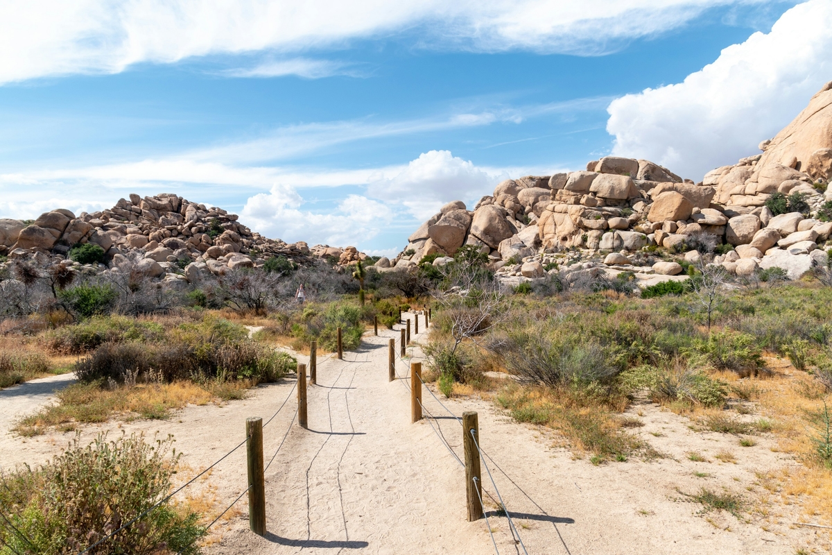 Twentynine Palms, CA market