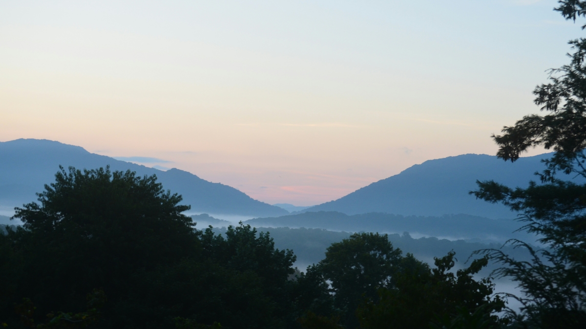 Waynesville, NC market