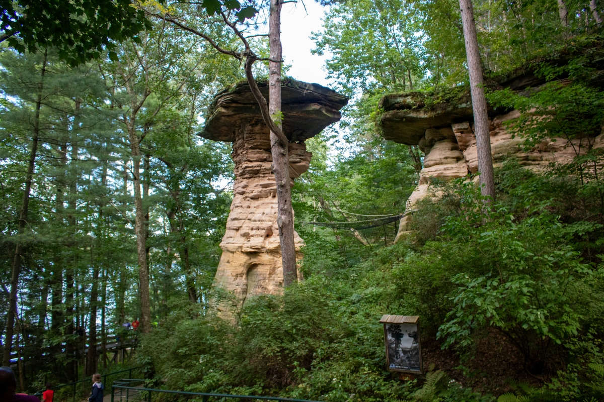 Wisconsin Dells, WI market