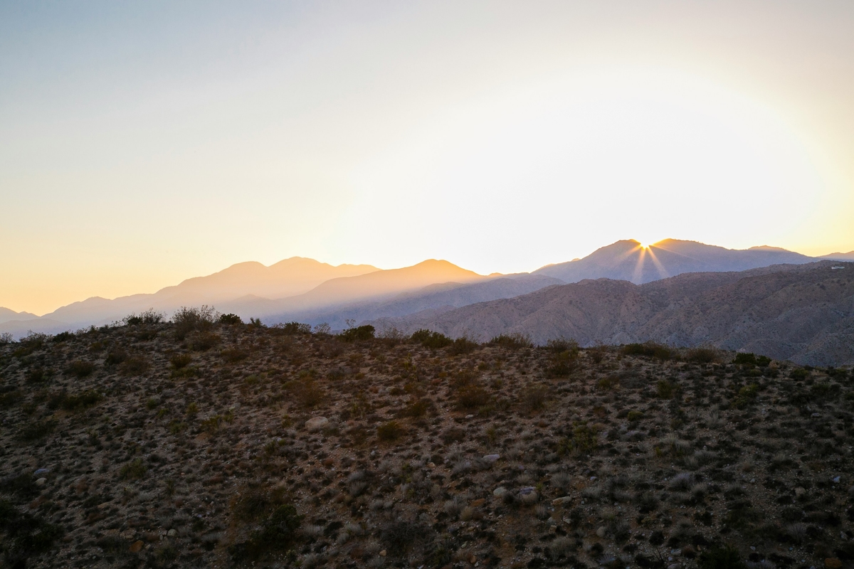 Yucca Valley, CA market