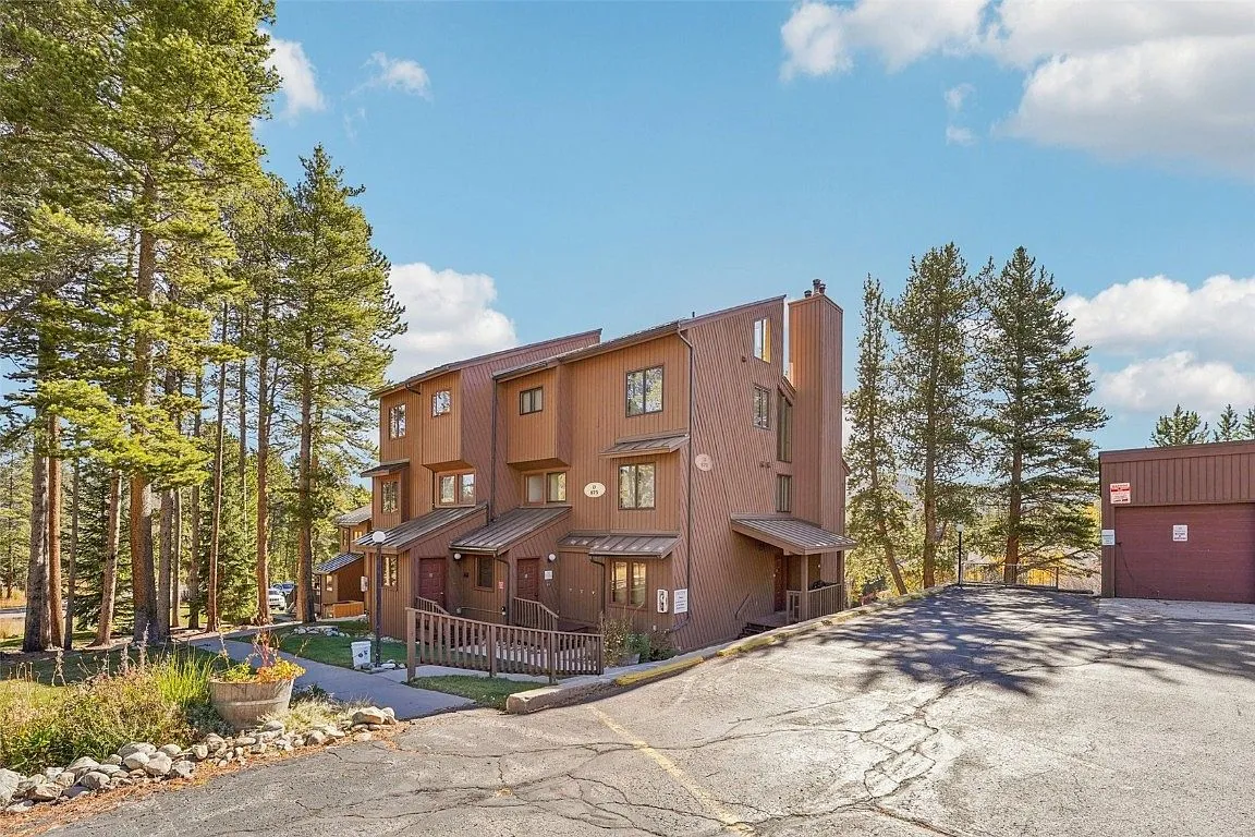 875 Four Oclock Rd APT D1, Breckenridge, CO 80424 - 4