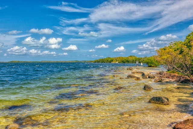 Airbnb Data on 1,173 Active Vacation Rentals in Key Largo