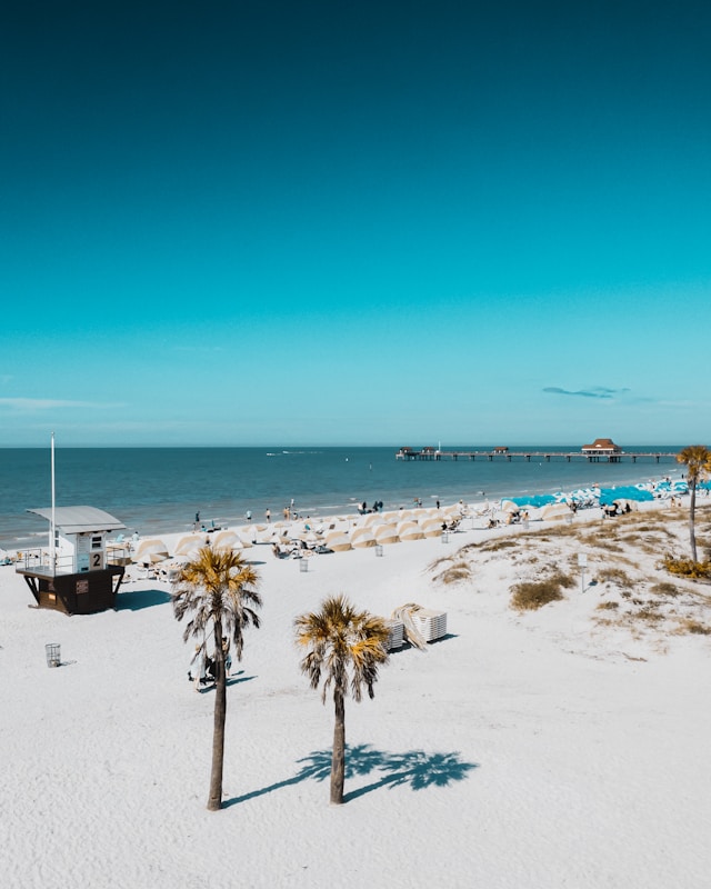 Tampa, FL Rental Regulations FAQ in 2025