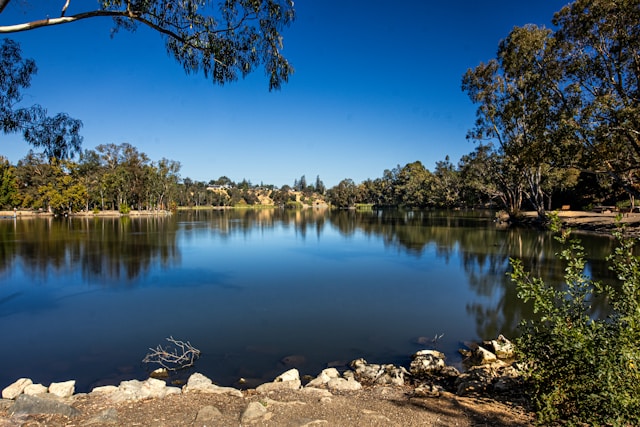 Airbnb Rental Market in Los Gatos, CA