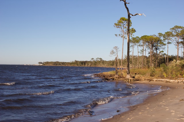 Pensacola, FL Short-Term Rental Regulations