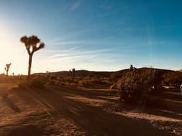 Best Mid-Term Rental Markets for Hiking (Close to National Parks)
