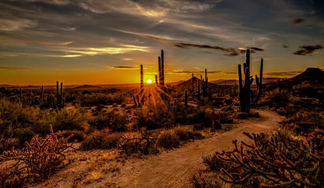 Scottsdale, AZ Rental Regulations FAQ 2025