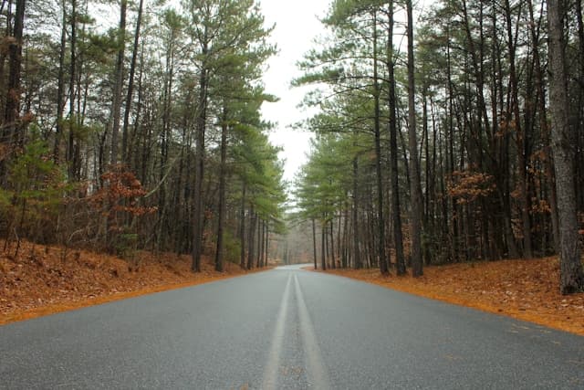 Best Places to Buy Airbnb Raleigh