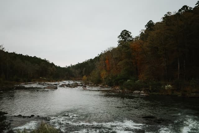 Airbnb Data on 194 Active Vacation Rentals in Broken Bow