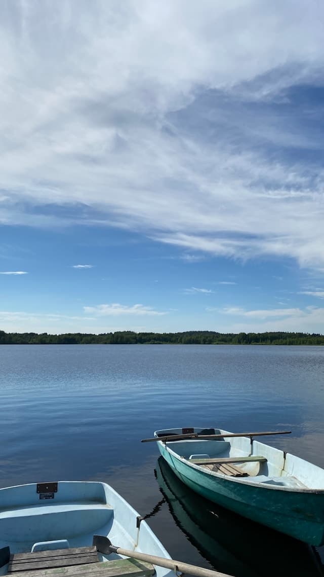 Airbnb Rental Market in Lake Ozark, MO