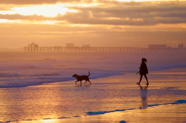 Airbnb Data on 3,441 Active Vacation Rentals in North Myrtle Beach
