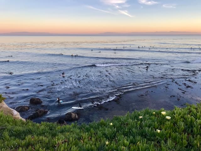 Airbnb Data on 563 Active Vacation Rentals in Santa Cruz