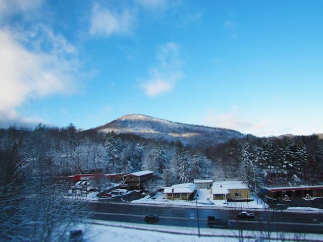 Airbnb Rental Market in Boone, NC