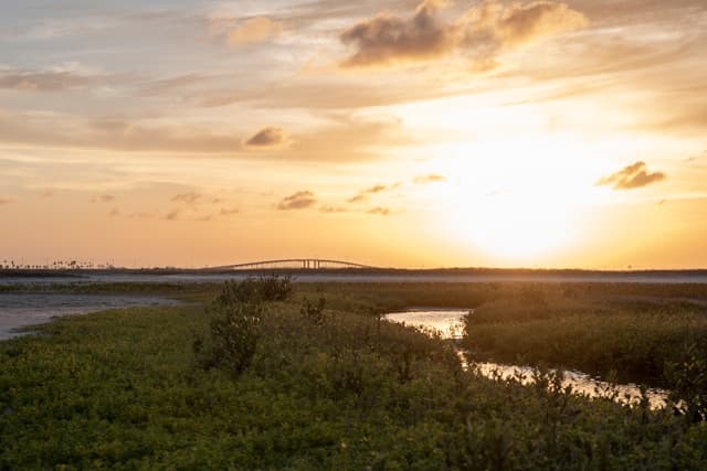 Airbnb Data on 1,535 Active Vacation Rentals in Corpus Christi
