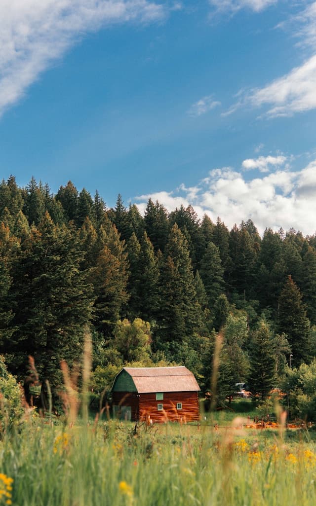 Airbnb Data on 817 Active Vacation Rentals in Bozeman, MT