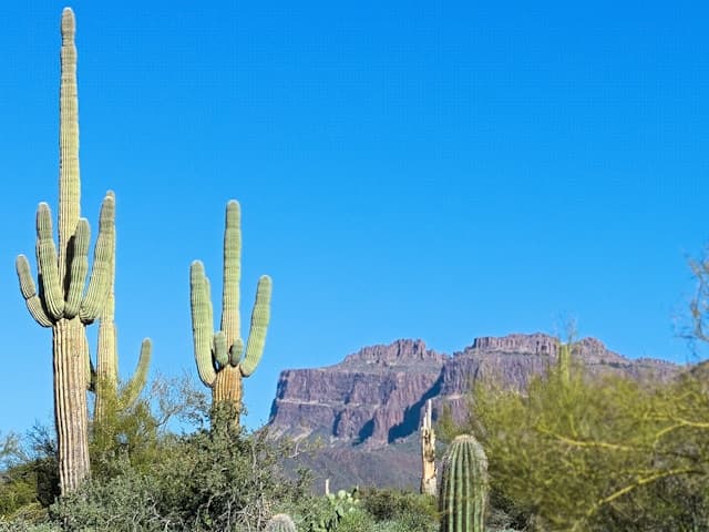 Airbnb Data on 5,693 Active Vacation Rentals in Phoenix