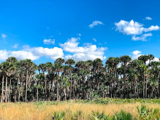 Best Places to Buy Airbnb in Kissimmee