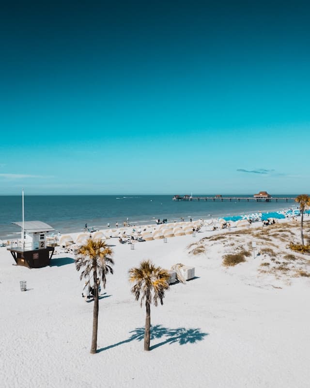 Tampa, FL Rental Regulations FAQ in 2025