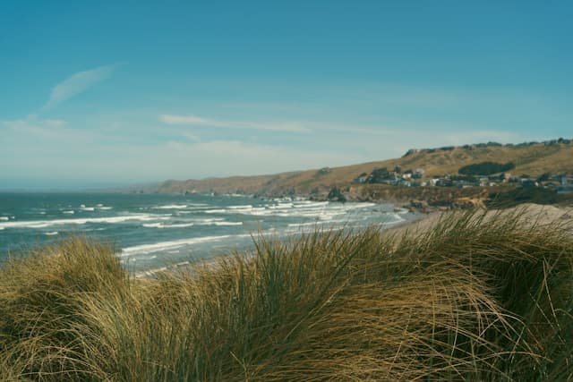 Airbnb Rental Market in Dillon Beach, CA