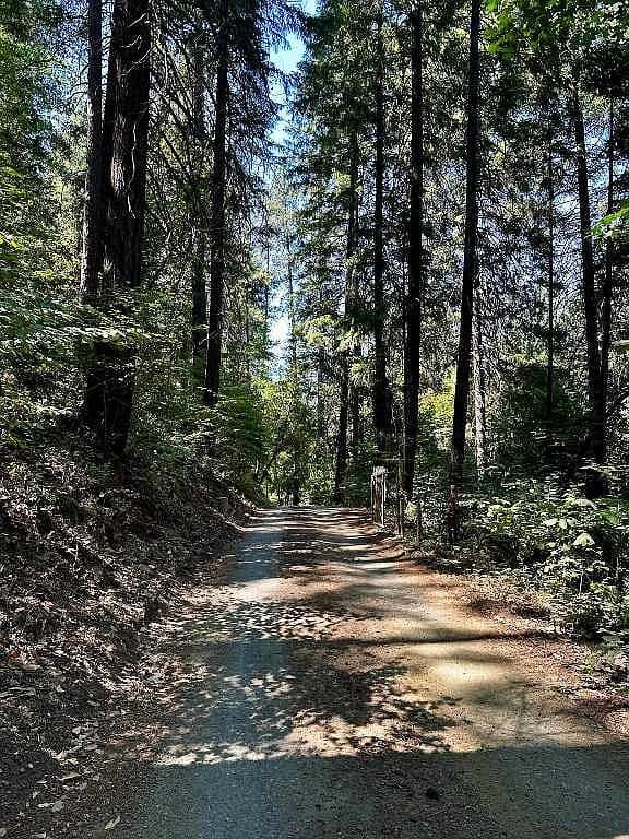 833 & 835 Elk Creek Rd, Happy Camp, CA, 96039 - 5