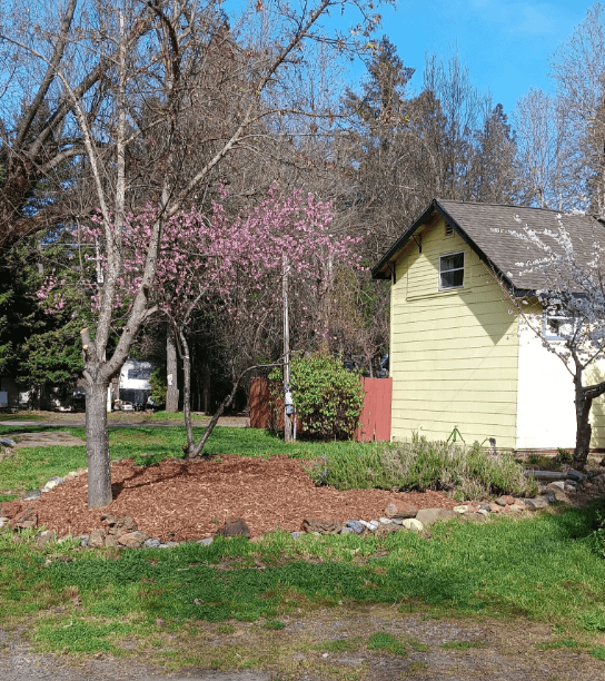 833 Elk Creek Road, Happy Camp, CA, USA - 2