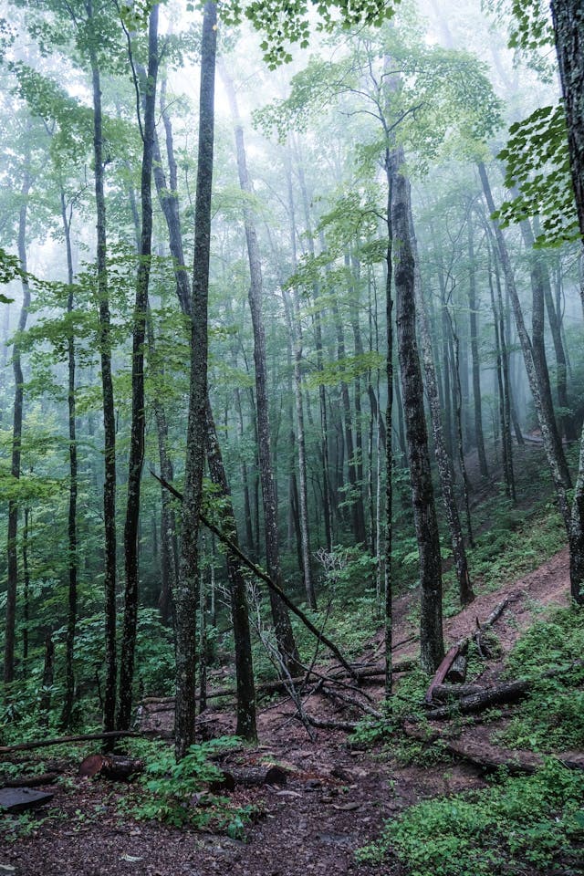 Sevierville, TN Short-Term Rental Regulations