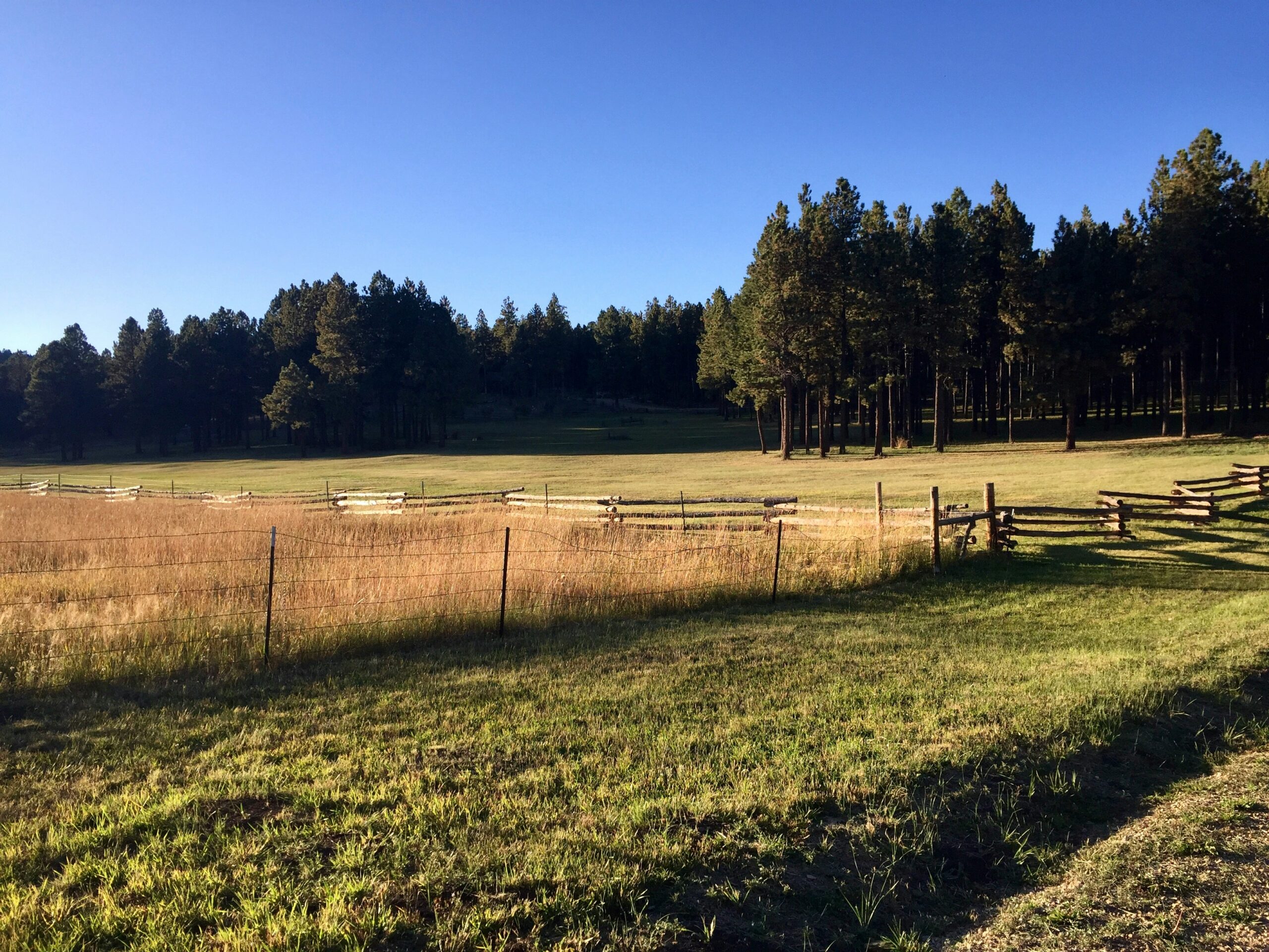 Angel Fire, NM Short-Term Rental Regulations