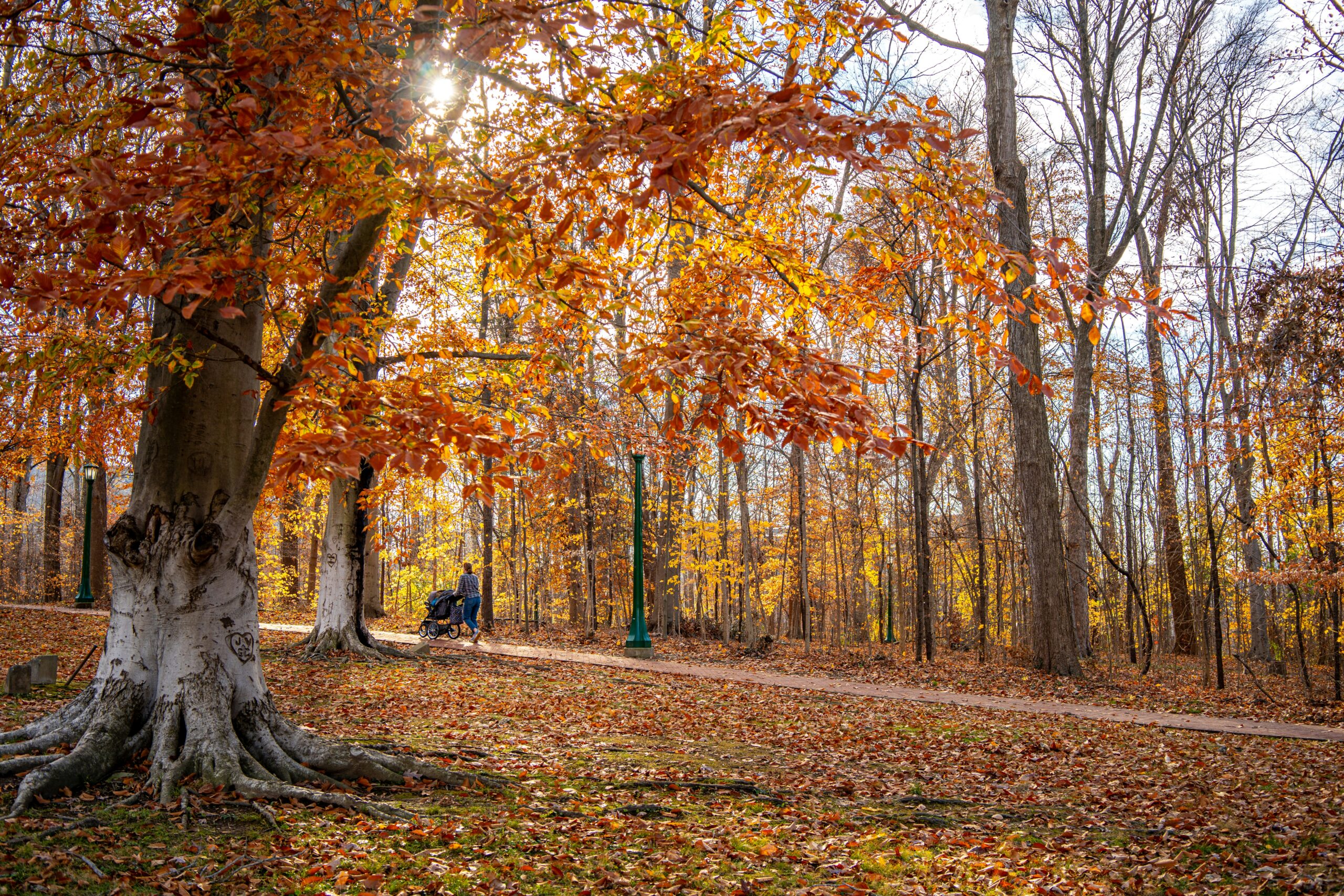 Bloomington, Indiana Short-Term Rental Regulations