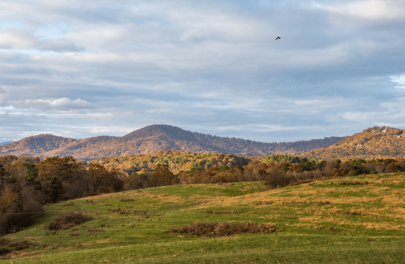 Jasper, GA Short-Term Rental Regulations