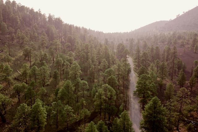 9 Best Places to Buy Short-Term Rentals in Flagstaff (2026)